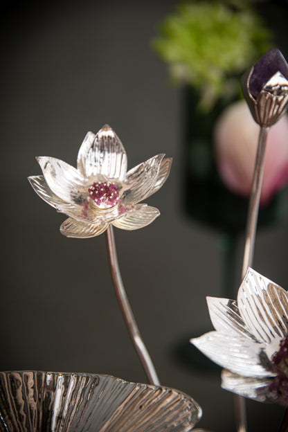 Lotus Platter